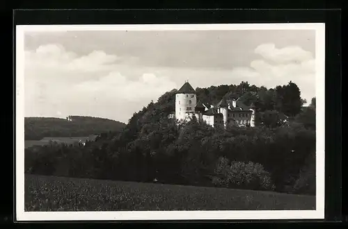 AK Wildenstein b. Bubendorf im Baselland, Blick zum Schloss
