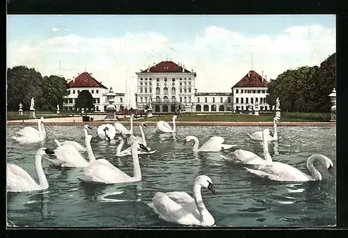 AK München-Nymphenburg, Kgl. Schloss mit Schwänen