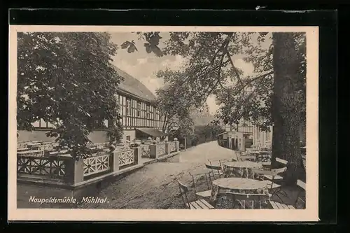 AK Eisenberg i. Thür., Gasthaus Naupoldsmühle im Mühltal