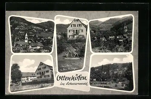 AK Ottenhöfen / Schwarzwald, Hotel Pflug in den Anlagen, Ortsansicht, Kurgarten