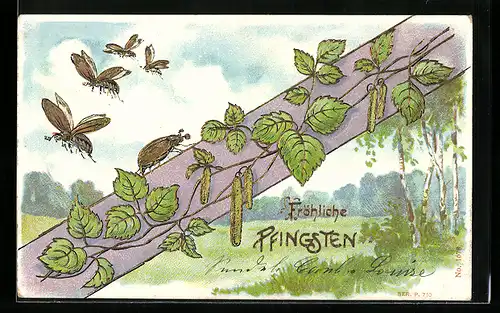 Präge-Lithographie Fliegende Maikäfer im Frühling, Pfingstgruss
