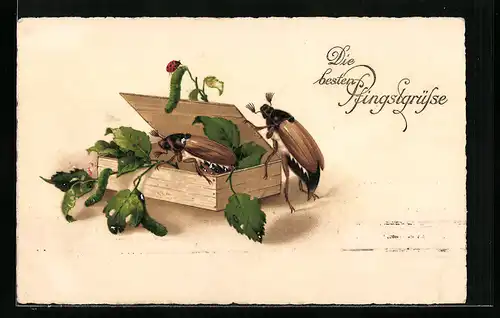 Lithographie Zwei Maikäfer mit Zigarrenkiste, Marienkäfer, Pfingstgruss