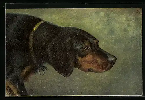 AK Jagdhund mit gestrecktem Hals, Seitenportrait