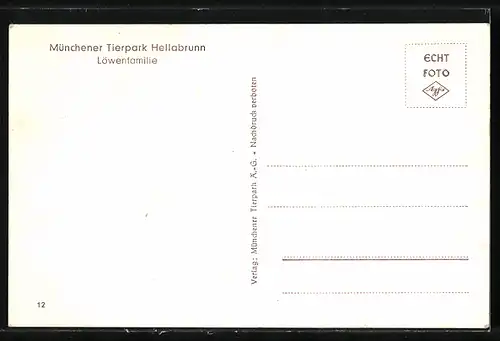 AK München, Löwenfamilie im Tierpark Hellabrunn