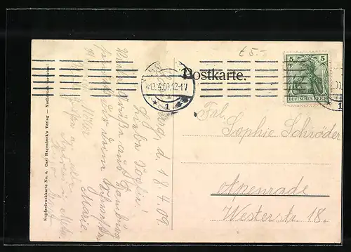 AK Stellingen-Hamburg, Löwe und Tiger im Tierpark