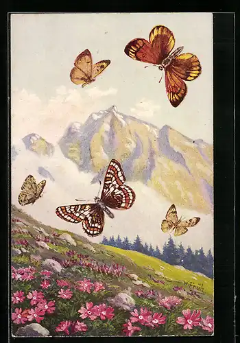 Künstler-AK Schmetterlinge der Arten Militaéa idúna und Cólias hecla