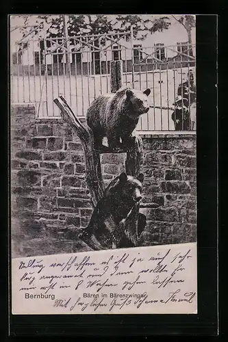 AK Bernburg, Bären im Bärenzwinger