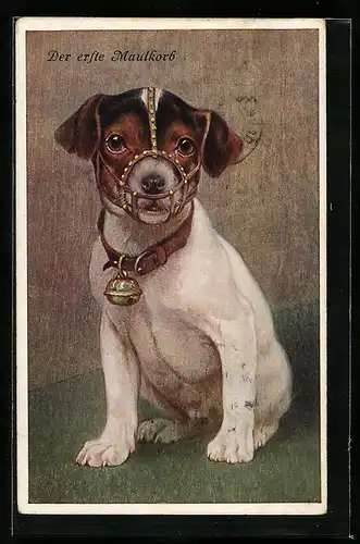 AK Kleiner Terrier mit Maulkorb