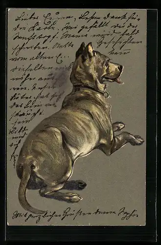 AK Ansicht einer Dogge