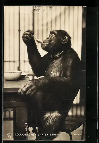 AK Berlin, Schimpanse Missie beim Essen mit Löffel im Zoo