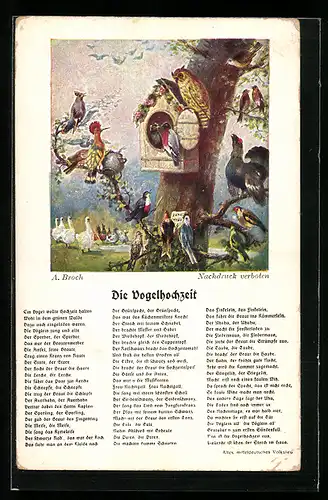 AK Vogelhochzeit, Liedtext, Vogelschar mit Eule