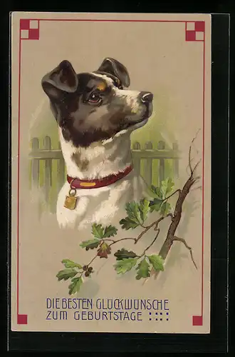 Präge-AK Hund mit Halsband im Garten, Geburtstagsgruss