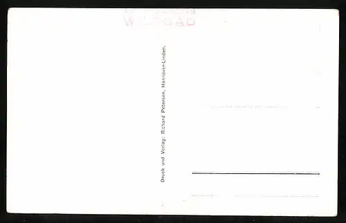 AK Wildbad, König-Karl-Strasse, Wasserpartie