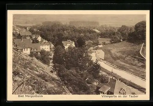 AK Bad Mergentheim, Villenpartie an der Tauber