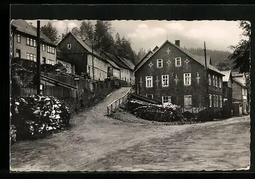 AK Luisenthal /Thür. Wald, Ortspartie