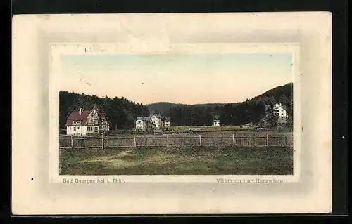 AK Bad Georgenthal i. Thür., Villen an der Harzwiese