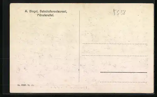 AK Münstereifel, Totalansicht, von Süden gesehen