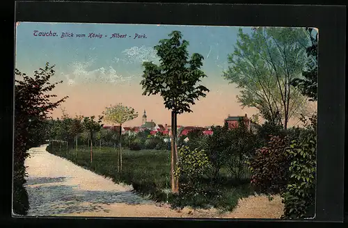 AK Taucha, Blick vom König-Albert-Park