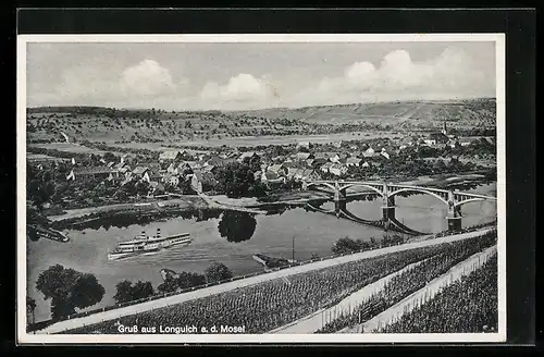 AK Longuich a. d. Mosel, Totalansicht von einem Weinberg aus