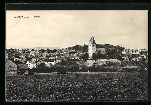 AK Usingen im Taunus, Totalansicht aus der Vogelschau