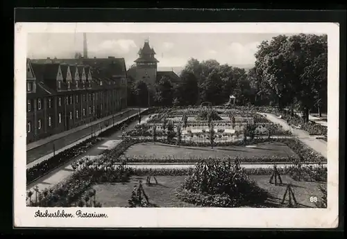 AK Aschersleben, Rosarium