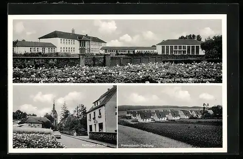 AK Hilter /Teutoburger Wald, Schule mit Walter Rau-Turnhalle, Natruper Strasse, Rankenbach-Siedlung