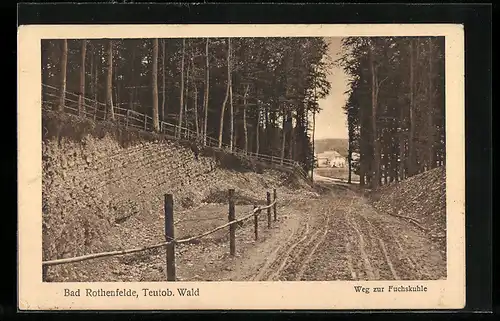 AK Bad Rothenfelde /Teutob. Wald, Weg zur Fuchskuhle