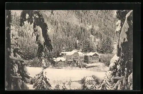 AK St. Blasien im südl. Schwarzwald, Sanatorium für Leichtlungenkranke im Winter