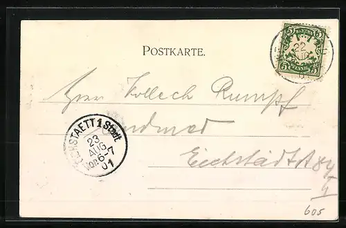 AK Neuburg a. Donau, Ortsansicht über den Fluss gesehen