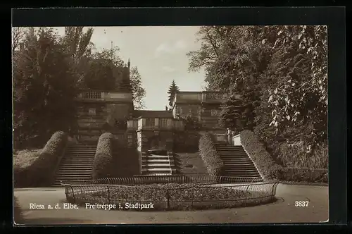 AK Riesa a. d. Elbe, Freitreppe im Stadtpark