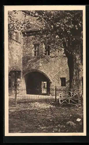 AK Halle a. Saale, Hofseiten des Stiftspalastes (Universität) neben der Domkirche, später herzogliche Residenz