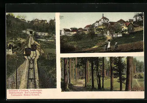 AK Leubringen, Drahtseilbahn Biel-Leubringen, Ortsansichten, Bergbahn