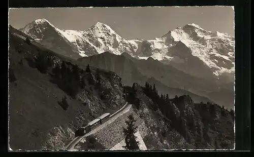 AK Schynige Platte-Bahn, Berner Oberland mit Eiger, Mönch und Jungfrau