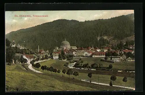 AK St. Blasien im Schwarzwald, Panorama der Stadt