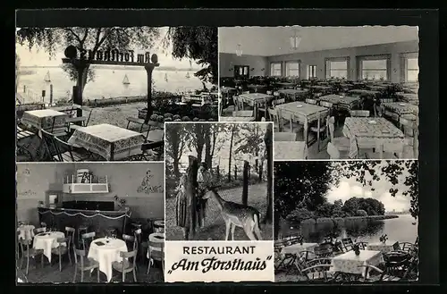 AK Berlin-Tegel, Restaurant Am Forsthaus, Schwarzer Weg