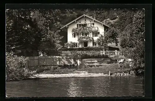 AK Tegernsee, das Haus Friedl am Ufer