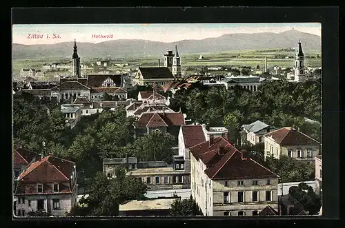 AK Zittau i. Sa., Generalansicht mit Hochwald