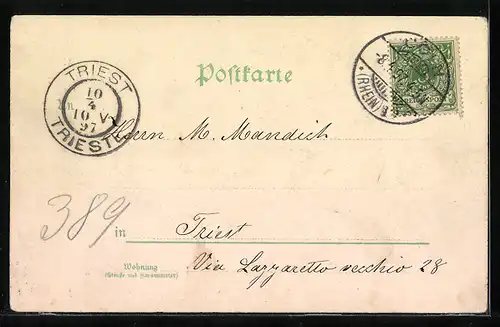 Lithographie Celle, Rathaus, Kriegerdenkmal, Realschule