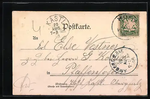 AK Hof, Totalansicht mit Fluss aus der Vogelschau