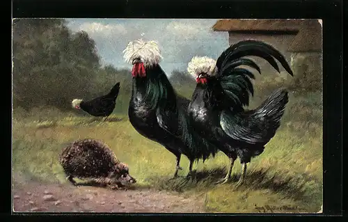 Künstler-AK August Müller - München: Holländische Haubenhühner und ein Igel