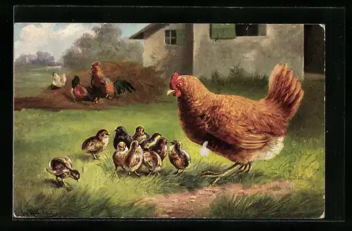 Künstler-AK August Müller - München: Henne mit Küken auf einem Bauernhof