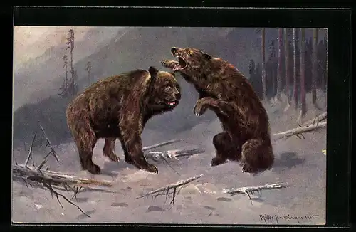 Künstler-AK M. Müller jun.: Kämpfende Bären im winterlichen Wald