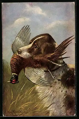 Künstler-AK August Müller - München: Jagdhund mit erlegtem Fasan