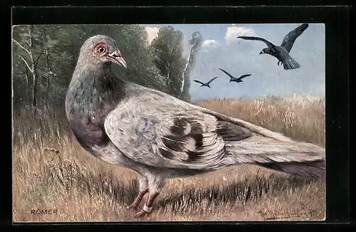 Künstler-AK August Müller - München: Taube und Krähen