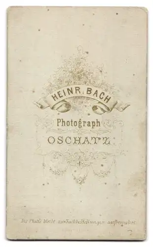 Fotografie Heinrich Bach, Oschatz, Gruppe junger Männer in Anzügen