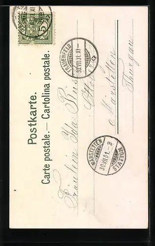 AK Frauenfeld, das alte Schloss