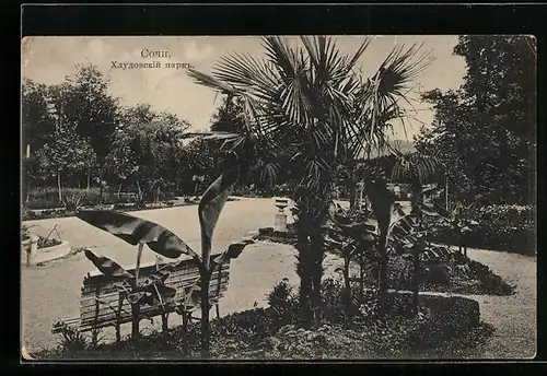 AK Sotschi, Parkpartie mit Palmen