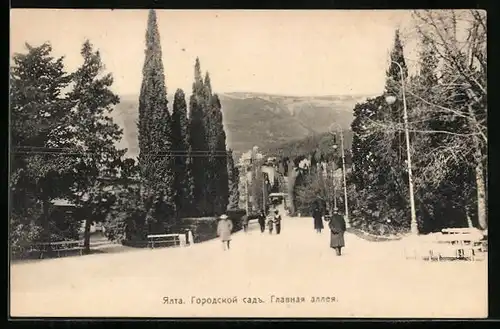 AK Jalta, Strassenpartie mit Bäumen
