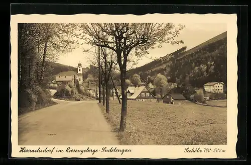 AK Harrachsdorf im Riesengebirge /Sudetengau, Strassenpartie mit Kirche