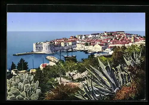 AK Dubrovnik, Panorama